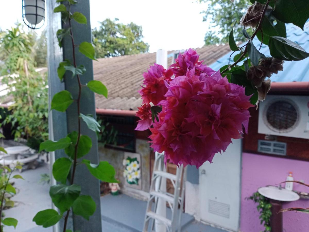 Comon Bungalow Haadchaophao Haad Chao Phao Ngoại thất bức ảnh